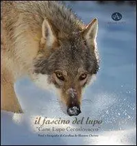 Prezzo Scontato Il fascino del lupo. Cane lupo cecoslovacco-The charm oh a wolf. Czechoslovakian wolfdog. Ediz. illustrata