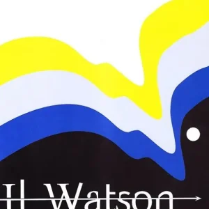 Il Watson. Nuovo manuale ragionato delle aperture. Vol. 3 L‘ apertura inglese e i suoi derivati Quantità Limitata