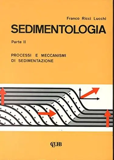 Sedimentologia. Vol. 2 Processi e meccanismi di sedimentazione Prezzo Conveniente