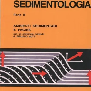 Vendita Finale Sedimentologia. Vol. 3 Ambienti sedimentari e facies