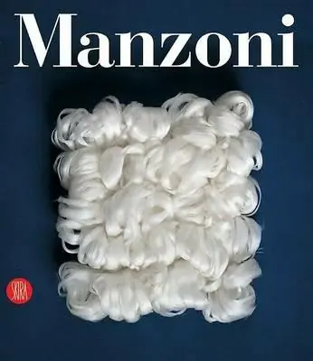 Offerta Del Giorno Manzoni. Catalogo generale. Ediz. illustrata