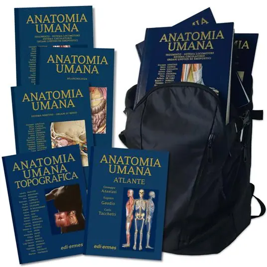 Anatomy Bag Plus Trattato di anatomia umana-Anatomia topografica-Atlante di anatomia umana. Con Borsa Solo Oggi