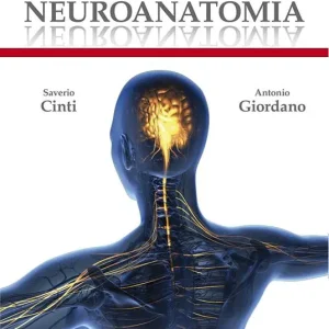Compra Online Neuroanatomia. Ediz. illustrata