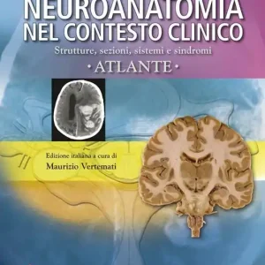 Sconto Neuroanatomia nel contesto clinico. Strutture, sezioni, sistemi e sindromi. Atlante