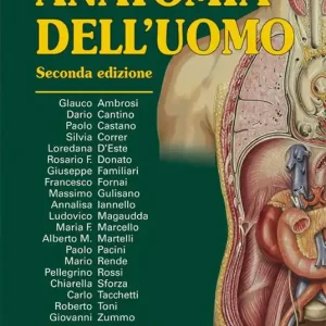Prezzo Di Fabbrica Anatomia dell‘uomo