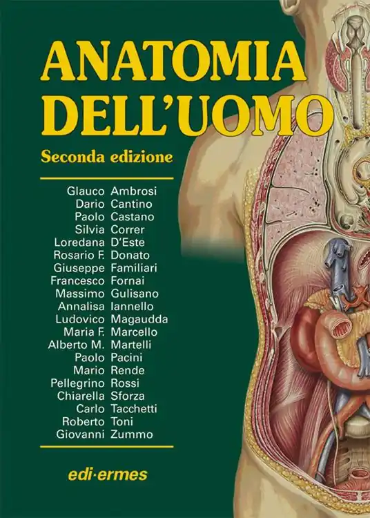 Prezzo Di Fabbrica Anatomia dell‘uomo