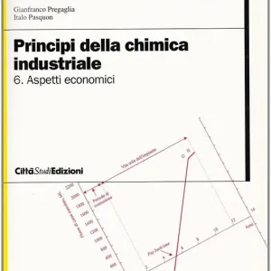 Offerta Limitata Principi della chimica industriale. Vol. 6 Aspetti economici