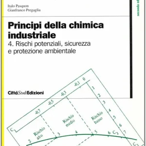 Principi della chimica industriale. Vol. 4 Rischi potenziali, sicurezza e protezione ambientale nell‘Industria chimica Vendita Finale