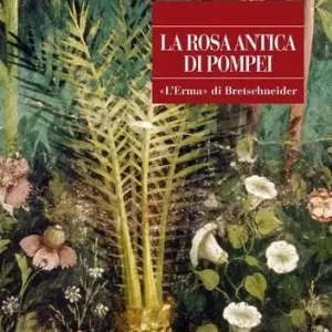 La rosa antica di Pompei Affare