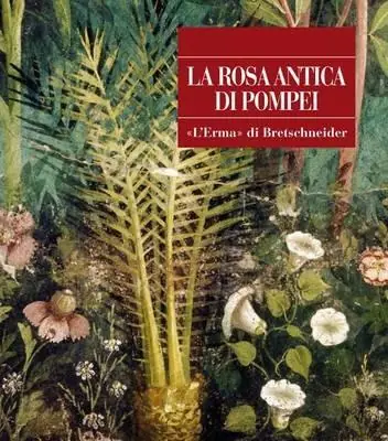 La rosa antica di Pompei Affare
