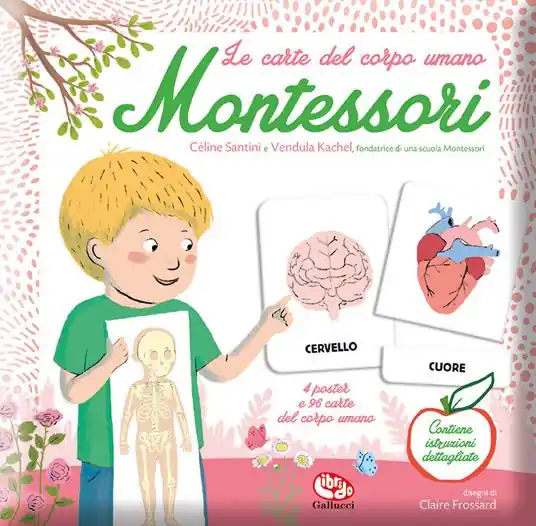 Professionale Le carte del corpo umano. Montessori