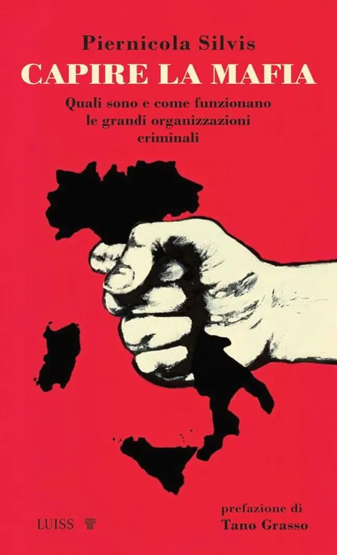 Capire la mafia. Quali sono e come funzionano le grandi organizzazioni criminali Nuovo Arrivo