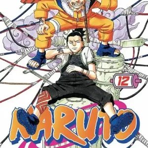 Vendita Finale Naruto. Il mito. Vol. 12