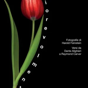 Novità Fiorevolmente. Poesie e fiori. Versi da Dante Alighieri a Raymond Carver. Ediz. illustrata