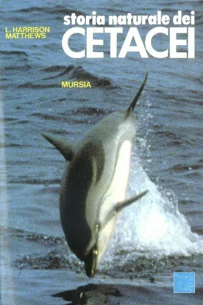 Offerta Limitata Storia naturale dei cetacei