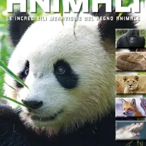 La grande enciclopedia illustrata degli animali. Le incredibili meraviglie del regno animale. Libri per sapere Prezzo Conveniente