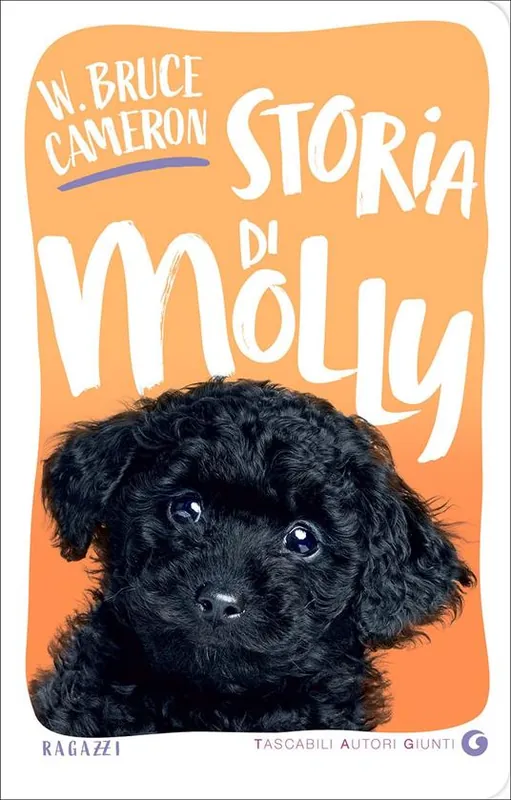 Saldi Storia di Molly