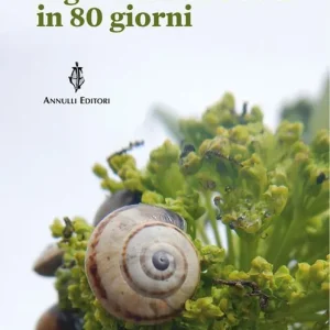 Il giro della Tuscia in 80 giorni Direttamente Dal Produttore
