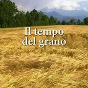 Il tempo del grano Sconto