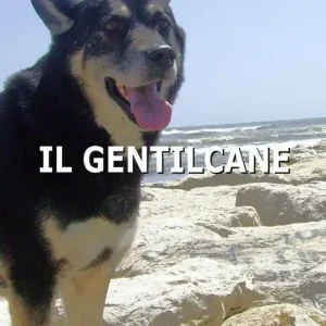 Il gentilcane Promo Stagionale