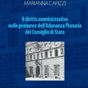 Offerta Del Giorno Il diritto amministrativo nelle pronunce dell‘Adunanza Plenaria del Condiglio di Stato