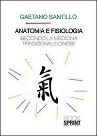 Anatomia e fisiologia secondo la medicina tradizionale cinese Affare