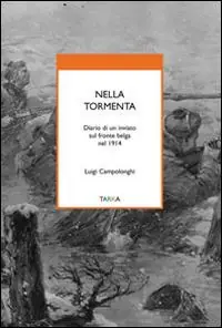 Nella tormenta. Diario di un inviato sul fronte belga nel 1914 Acquista Ora