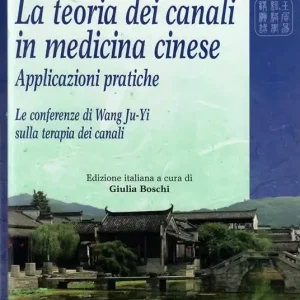 La teoria dei canali in medicina cinese. Applicazioni pratiche. Le conferenze di Wang Ju-Yi sulla terapia dei canali Ultimissimo Modello
