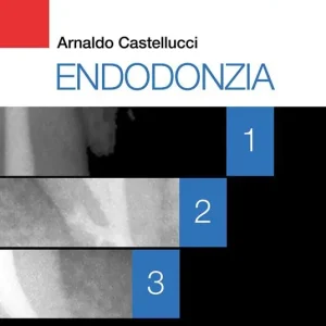 Endodonzia Offerta Speciale