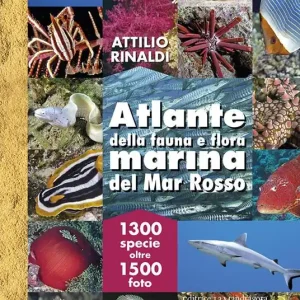 Bestseller Atlante della fauna e flora marina del Mar Rosso. Ediz. illustrata