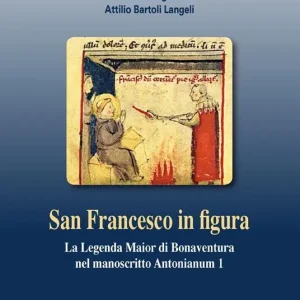 Scelto Dai Clienti San Francesco in figura