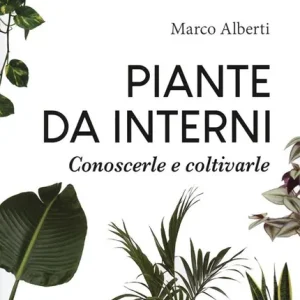Super Prezzo Piante da interni. Conoscerle e coltivarle