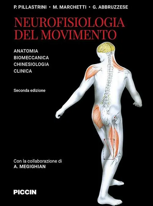 Subito Disponibile Neurofisiologia del movimento. Anatomia, biomeccanica, chinesiologia, clinica