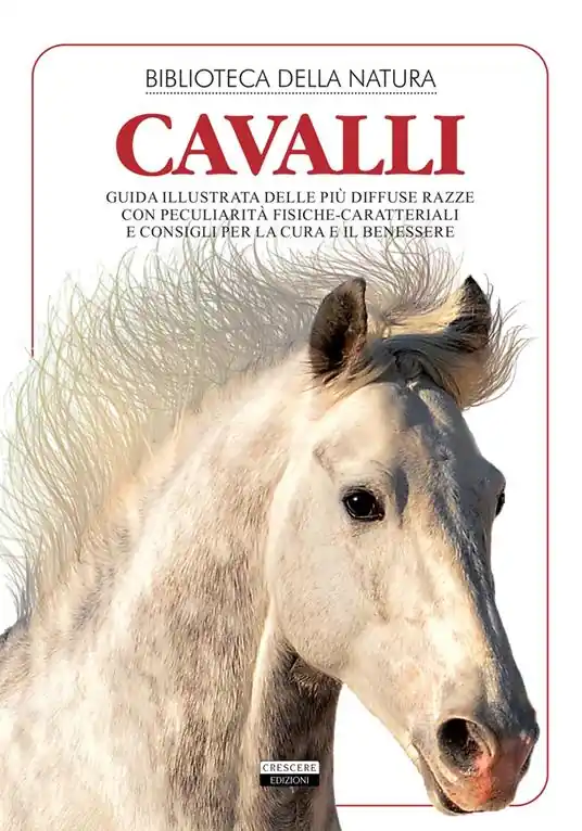 Non Perdere Cavalli. Ediz. illustrata