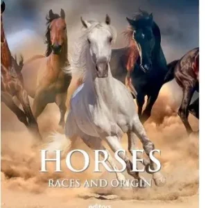 Affare Horses. Breeds and origins