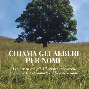 Chiama gli alberi per nome. A tu per tu con gli alberi per conoscerli, apprezzarli e chiamarli col loro vero nome Bestseller