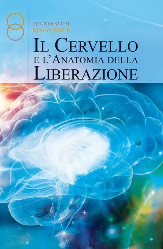 Il cervello e l‘anatomia della liberazione Miglior Prezzo