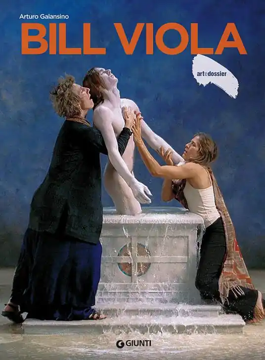 Professionale Bill Viola