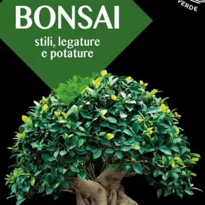 Quantità Limitata Bonsai. Stili, legature e potature