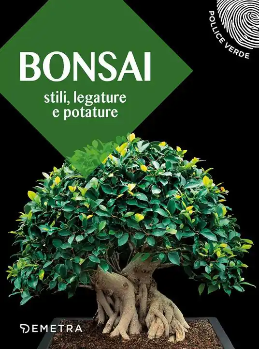 Quantità Limitata Bonsai. Stili, legature e potature