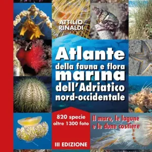 Atlante della fauna e flora marina dell‘Adriatico nord-occidentale Quantità Limitata