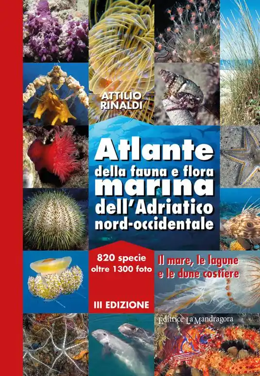 Atlante della fauna e flora marina dell‘Adriatico nord-occidentale Quantità Limitata