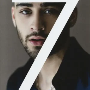 Zayn. Ediz. a colori Occasione