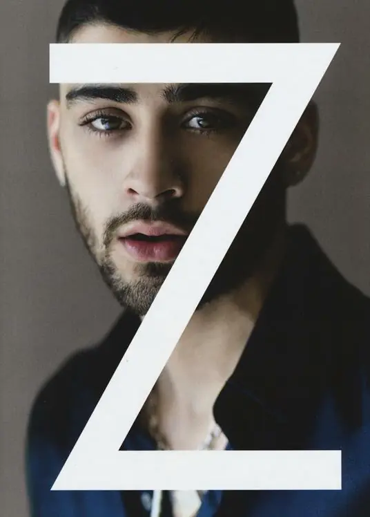 Zayn. Ediz. a colori Occasione