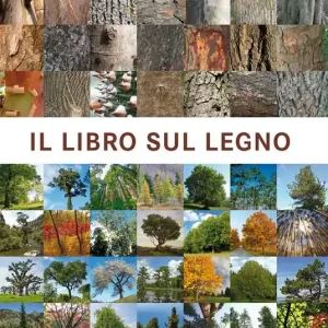 Compra Oggi Stesso Il libro sul legno