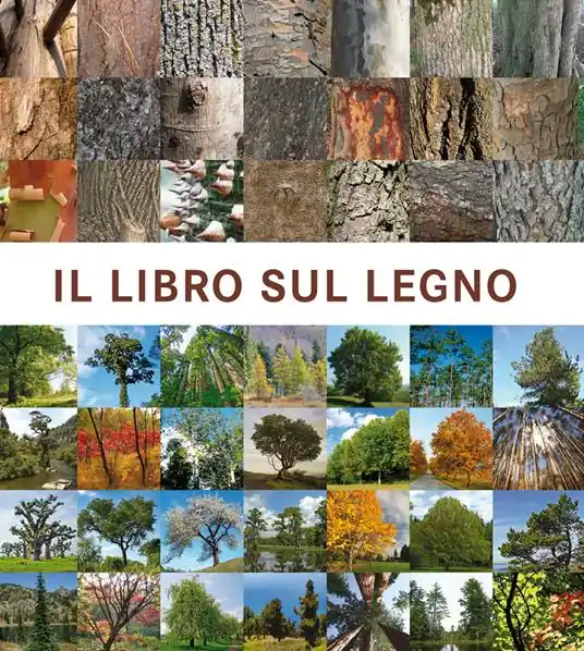 Compra Oggi Stesso Il libro sul legno