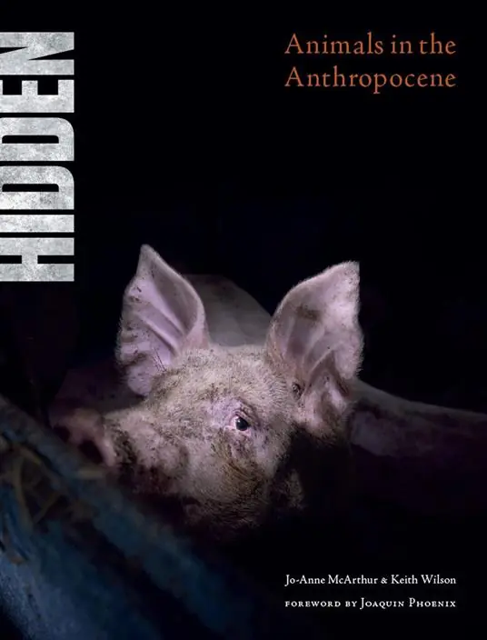 Hidden. Animals in the Anthropocene. Ediz. a colori Direttamente Dal Produttore