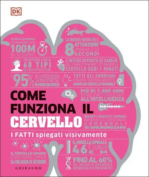 Must-Have Come funziona il cervello. I fatti spiegati visivamente. Ediz. illustrata