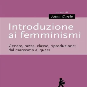 Promozione Introduzione ai femminismi. Genere, razza, classe, riproduzione dal marxismo al queer