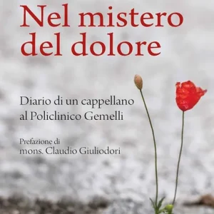 Offerta Limitata Nel mistero del dolore. Diario di un cappellano al Policlinico Gemelli